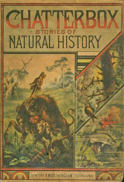 Chatterbox Stories of Natural History - Anonymous